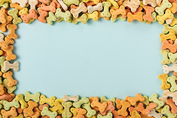 포토 JPG 스튜디오촬영 실내 근접촬영 사람없음 쿠키 오브젝트 뼈다귀모양 애견간식 국내포토 모양 뷰포인트 디저트 내부 파일형식