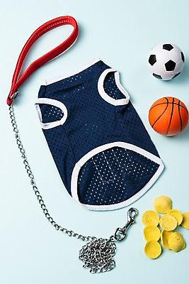 포토 JPG 스튜디오촬영 축구공 농구공 실내 근접촬영 사람없음 장난감 오브젝트 애견용품 목줄 강아지옷 애견간식 국내포토 뷰포인트 공 축구용품 농구 내부 파일형식 반려용품