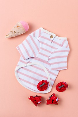 포토 JPG 스튜디오촬영 신발 실내 사람없음 장난감 오브젝트 애견용품 강아지옷 국내포토 내부 파일형식 반려용품