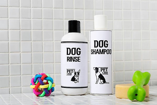 포토 JPG 실내 사람없음 장난감 목욕탕 오브젝트 애견용품 애견미용 애견샴푸 애견린스 국내포토 반려용품 내부 뷰티 파일형식