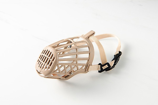 포토 JPG 스튜디오촬영 실내 사람없음 오브젝트 애견용품 입마개 국내포토 반려용품 내부 파일형식