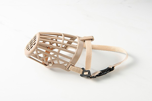 포토 JPG 스튜디오촬영 실내 근접촬영 사람없음 오브젝트 애견용품 입마개 국내포토 반려용품 뷰포인트 내부 파일형식