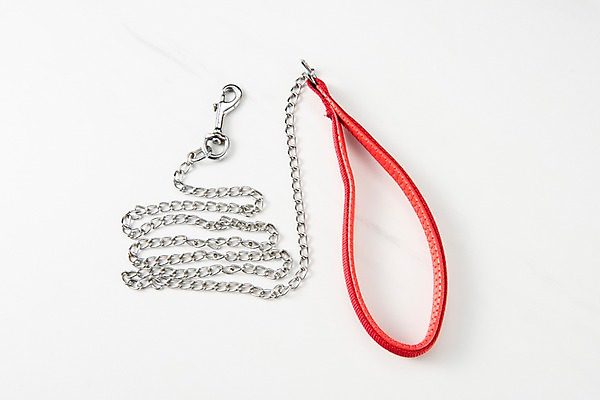 포토 JPG 스튜디오촬영 실내 근접촬영 사람없음 오브젝트 애견용품 목줄 국내포토 뷰포인트 내부 파일형식 반려용품