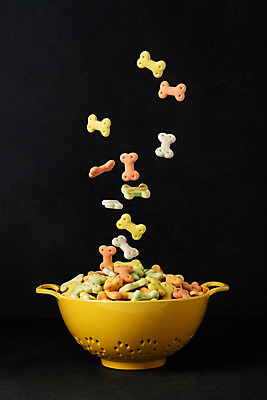 포토 JPG 스튜디오촬영 그릇 실내 근접촬영 사람없음 오브젝트 개사료 뼈다귀모양 애견간식 국내포토 모양 식기 뷰포인트 내부 먹이 파일형식