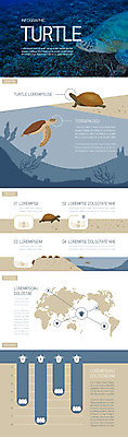 동물 세계지도 여러마리 일러스트 파충류 그래프 해변 사람없음 모래사장 바닷속 수영 인포그래픽 암석 거북이 서식지 거북이알 분포 국내일러스트 AI파일 바다 다수 지도 세계 알 수중 돌_바위 수상스포츠 파일형식 벡터