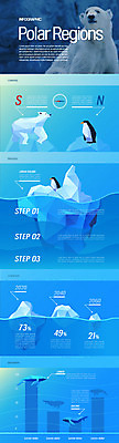 두마리 여러마리 일러스트 그래프 사람없음 얼음 바닷속 인포그래픽 퍼센트 남극 극지방 북극 고래 펭귄 북극곰 빙하 국내일러스트 AI파일 자연요소 다수 2 곰 포유류 조류 수중 수중동물 특수기호 지역 파일형식 벡터