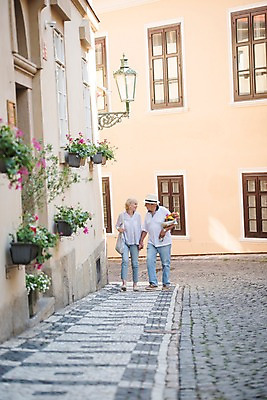 포토 JPG 주간 전신 서양인 응시 여자 노년 남자 화분 꽃다발 거리 미소 들기 사람 야외 두명 앞모습 실버라이프 마주보기 걷기 손잡기 노부부 보행로 골목길 창가 70대 체코 프라하 국내포토 자연요소 외국인 라이프스타일 부부 시선 꽃 유럽 길 뷰포인트 창문 모션 표정 성인 파일형식