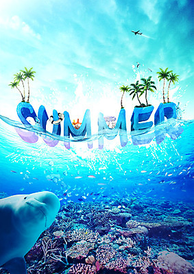 PSD 편집이미지 바다 여러마리 갈매기 불가사리 비행기 어류 사람없음 여름 야자수 바닷속 암석 산호초 고래 물보라 튜브 이미지편집 나무 계절 다수 포유류 항공교통 조류 극피동물 대중교통 물 수중 수중동물 돌_바위 수중식물 파일형식