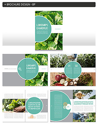 템플릿 남자 ZIP 40대 고추 양파 마늘 미소 사람 팜플렛 여러명 상반신 성인 신체부위 농작물 농사 물뿌리개 한국인 양손 잡기 농부 상추 배추 밀짚모자 물뿌리기 성인남자만 인디자인 INDD 이미지템플릿 직업 모자_잡화 손 중년 다수 농업 채소 모션 표정 동양인 남자만 성인만 파일형식