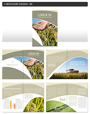 전신 템플릿 손 남자 ZIP 40대 논 사람 팜플렛 성인 두명 신체부위 한국인 벼 농부 농기구 트랙터 벼농사 인디자인 INDD 이미지템플릿 직업 중년 농업 곡류 동양인 농사 농기계 특수차량 파일형식