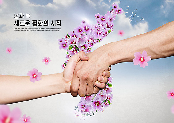 PSD 구름 편집이미지 손 지도 여러마리 조류 하늘 악수 한손 협상 사람 성인 두명 신체부위 평화 사회이슈 무궁화 한반도 남북 남북통일 이미지편집 자연요소 동물 꽃 다수 컨셉 비즈니스 손짓 통일 파일형식