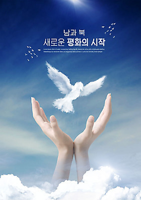 PSD 구름 편집이미지 여러마리 조류 하늘 한명 사람 성인 신체부위 빛 평화 양손 사회이슈 비둘기 남북 남북통일 이미지편집 자연요소 동물 1 손 다수 컨셉 통일 파일형식