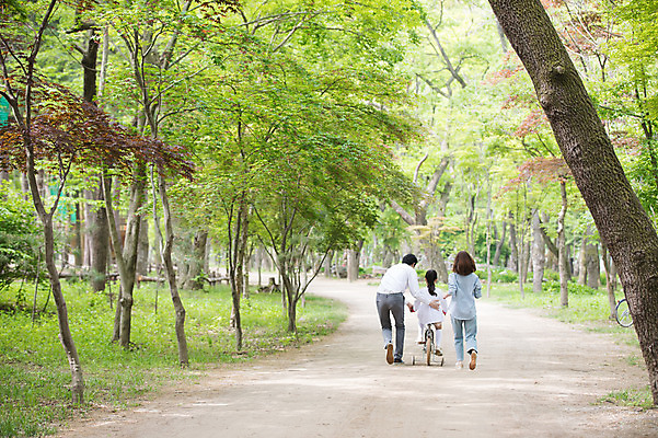 포토 JPG 주간 전신 나무 여자 남자 어린이 40대 가족 사람 성인 야외 뒷모습 10대 세명 30대 자전거 한국인 도전 잡기 가족라이프 가르침 숲속 숲길 남이섬 도와주기 국내포토 자연요소 식물 라이프스타일 교육 길 뷰포인트 섬 중년 관계 모션 청소년 동양인 장년 바이크 숲 강원도 파일형식