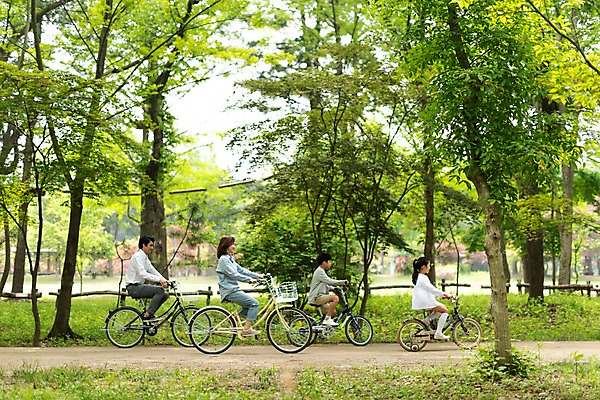 포토 JPG 주간 전신 나무 공원 여자 남자 딸 아들 호수 어린이 40대 가족 엄마 사람 잔디 여러명 성인 야외 옆모습 10대 30대 자전거 한국인 가족라이프 아빠 숲 오솔길 일렬 숲길 남이섬 국내포토 자연요소 식물 라이프스타일 공공시설 길 뷰포인트 섬 중년 다수 관계 청소년 동양인 장년 바이크 강원도 파일형식