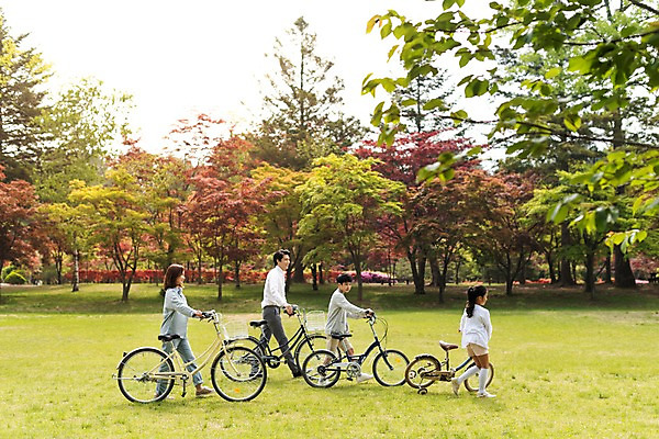포토 JPG 주간 전신 나무 공원 여자 남자 딸 아들 어린이 40대 가족 엄마 미소 사람 잔디 여러명 성인 야외 옆모습 10대 30대 걷기 자전거 한국인 가족라이프 아빠 숲 남이섬 국내포토 자연요소 식물 라이프스타일 공공시설 뷰포인트 섬 중년 다수 관계 모션 청소년 표정 동양인 장년 바이크 강원도 파일형식