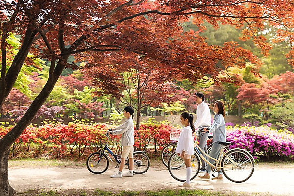 포토 JPG 주간 전신 나무 공원 여자 남자 딸 아들 어린이 40대 꽃밭 가족 엄마 사람 여러명 성인 야외 옆모습 10대 30대 걷기 자전거 한국인 가족라이프 아빠 숲 오솔길 공원길 남이섬 국내포토 자연요소 식물 라이프스타일 공공시설 꽃 길 뷰포인트 섬 중년 다수 관계 모션 청소년 동양인 장년 바이크 강원도 파일형식