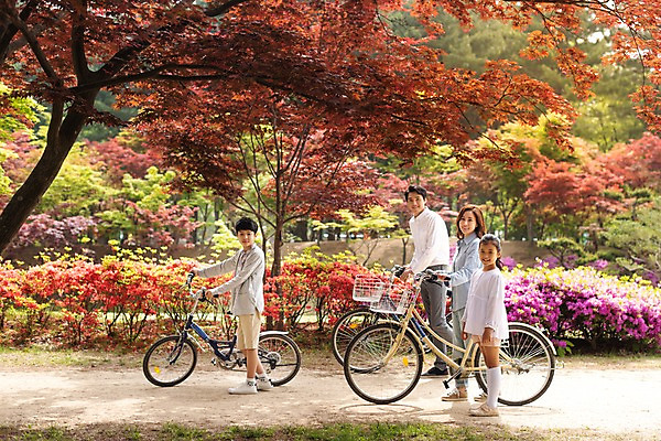 포토 JPG 주간 전신 나무 응시 공원 여자 남자 딸 아들 어린이 40대 꽃밭 가족 단풍나무 엄마 미소 사람 여러명 성인 야외 옆모습 10대 30대 자전거 한국인 가족라이프 아빠 오솔길 공원길 남이섬 국내포토 자연요소 식물 라이프스타일 시선 공공시설 꽃 길 뷰포인트 섬 중년 다수 단풍 관계 청소년 표정 동양인 장년 바이크 강원도 파일형식