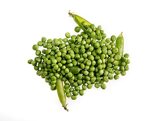 포토 JPG 스튜디오촬영 실내 누끼 사람없음 껍질 신선 벗겨짐 완두콩 콩깍지 벌어짐 국내포토 모션 콩 내부 파일형식