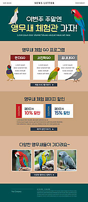 PSD 템플릿 ZIP 웹템플릿 여러마리 사람없음 세트 사진촬영 만지기 체험학습 앵무새 주말 뉴스레터 프로그램 할인쿠폰 이미지템플릿 다수 모션 조류 촬영 체험 쿠폰 파일형식