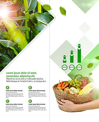 PSD 템플릿 북디자인 손 출판디자인 내지 리플렛 2단접지 북커버 포도 그래프 나뭇잎 감자 옥수수 들기 사람 팜플렛 성인 신체부위 농작물 바구니 당근 양손 고구마 옥수수밭 흩날리기 이미지템플릿 잎 밭 농업 채소 과일 모션 곡류 뿌리채소 파일형식