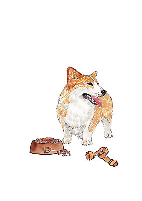 PSD 동물 한마리 일러스트 수채화 사람없음 반려동물 강아지 개껌 개밥그릇 개사료 반려 웰시코기 국내일러스트 1 그릇 개 먹이 애견용품 파일형식