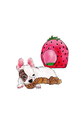 PSD 동물 한마리 일러스트 수채화 사람없음 반려동물 장난감 강아지 개집 반려 프렌치불독 국내일러스트 1 개 애견용품 불독 파일형식