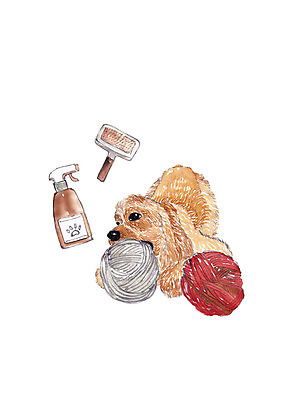 PSD 동물 한마리 일러스트 수채화 사람없음 반려동물 장난감 털실 강아지 반려 세정제 애견빗 국내일러스트 반려용품 1 위생용품 실 개 오브젝트 애견용품 파일형식