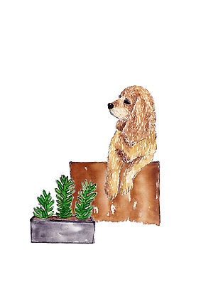 PSD 동물 한마리 응시 화분 화초 일러스트 수채화 사람없음 반려동물 강아지 반려 국내일러스트 식물 1 시선 개 파일형식