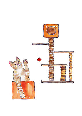 PSD 동물 한마리 일러스트 수채화 사람없음 반려동물 장난감 고양이 놀이터 다리들기 반려 국내일러스트 1 포유류 모션 놀이 파일형식