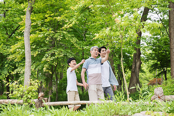포토 JPG 주간 나무 응시 노년 남자 어린이 40대 가족 미소 사람 상반신 성인 야외 옆모습 10대 세명 울타리 걷기 손잡기 산책 한국인 가리킴 삼대 70대 숲길 남이섬 부자3대 부자지간 남자만 국내포토 자연요소 식물 시선 길 아들 뷰포인트 섬 중년 관계 모션 청소년 휴식 표정 동양인 손짓 담장 아빠 강원도 파일형식