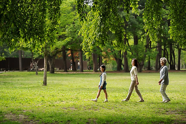 포토 JPG 주간 전신 나무 공원 여자 노년 어린이 가족 모녀 사람 잔디 성인 야외 옆모습 세명 30대 걷기 산책 한국인 60대 숲 삼대 며느리 남이섬 여자만 국내포토 자연요소 식물 공공시설 딸 뷰포인트 섬 관계 모션 엄마 휴식 동양인 장년 강원도 파일형식