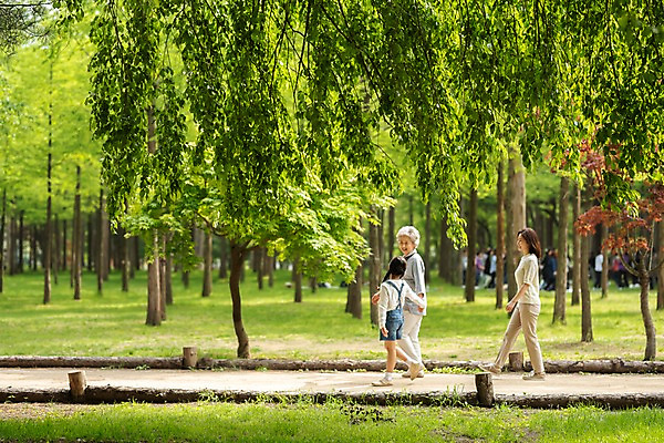 포토 JPG 주간 전신 나무 응시 공원 여자 노년 어린이 가족 모녀 미소 사람 잔디 성인 야외 옆모습 세명 30대 마주보기 걷기 산책 한국인 60대 숲 삼대 며느리 공원길 남이섬 여자만 국내포토 자연요소 식물 시선 공공시설 딸 길 뷰포인트 섬 관계 모션 엄마 휴식 표정 동양인 장년 강원도 파일형식