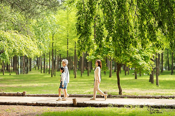 포토 JPG 주간 전신 나무 여자 노년 어린이 가족 모녀 사람 잔디 성인 야외 옆모습 세명 30대 걷기 손잡기 산책 한국인 60대 숲 삼대 며느리 공원길 남이섬 여자만 국내포토 자연요소 식물 딸 길 뷰포인트 섬 관계 모션 엄마 휴식 동양인 장년 강원도 파일형식