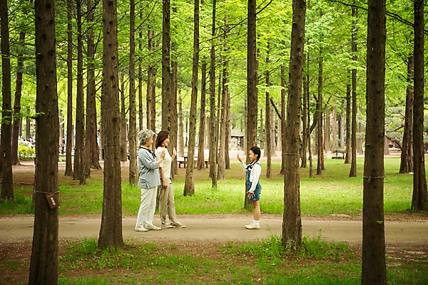 포토 JPG 주간 전신 나무 응시 공원 여자 노년 어린이 가족 모녀 미소 사람 성인 야외 옆모습 세명 30대 마주보기 한국인 인사 60대 숲 삼대 며느리 손인사 남이섬 흙길 여자만 국내포토 자연요소 식물 시선 공공시설 딸 길 뷰포인트 섬 관계 모션 엄마 표정 동양인 장년 흙 예절 강원도 파일형식