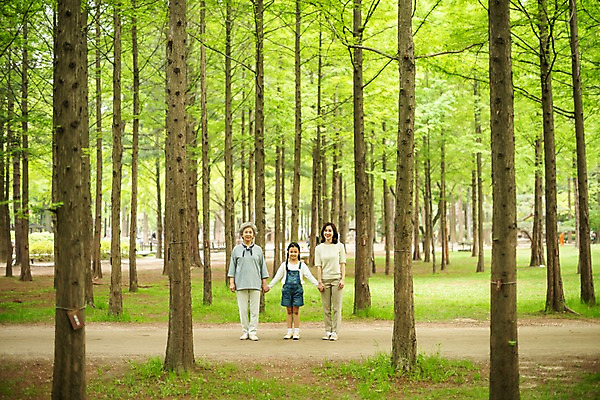 포토 JPG 주간 전신 공원 여자 노년 어린이 가족 모녀 서기 미소 사람 성인 야외 앞모습 세명 30대 손잡기 한국인 60대 숲 삼대 며느리 남이섬 흙길 여자만 국내포토 자연요소 공공시설 딸 길 뷰포인트 섬 관계 모션 엄마 표정 동양인 장년 흙 강원도 파일형식