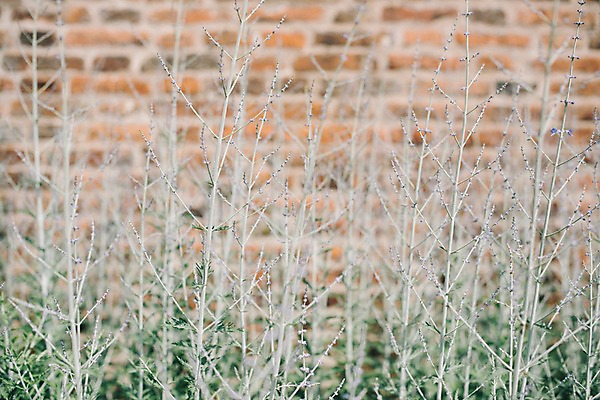 포토 JPG 주간 식물 여행 유럽풍경 풍경 사람없음 야외 아웃포커스 도시풍경 나뭇가지 감성 체코 프라하 동유럽 국내포토 자연요소 나무 유럽 컨셉 촬영기법 도시 파일형식