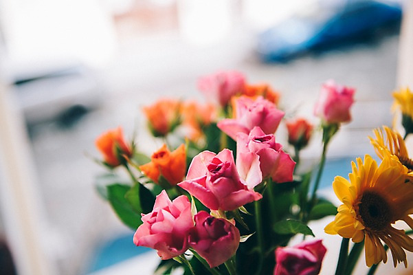 포토 JPG 주간 꽃 여행 유럽풍경 해바라기 풍경 사람없음 야외 아웃포커스 도시풍경 장미 감성 체코 프라하 동유럽 국내포토 자연요소 식물 유럽 컨셉 촬영기법 도시 파일형식
