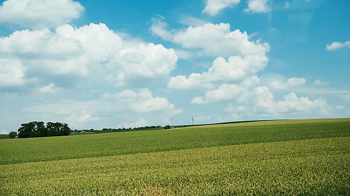 포토 JPG 주간 구름 해외풍경 유럽 여행 자연 하늘 풍경 초원 사람없음 야외 감성 체코 프라하 동유럽 모라비아 국내포토 자연요소 해외 나라 컨셉 생태계 파일형식