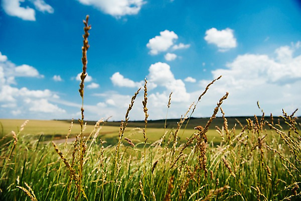 포토 JPG 주간 구름 해외풍경 유럽 여행 자연 하늘 풍경 초원 사람없음 야외 감성 체코 프라하 동유럽 모라비아 국내포토 자연요소 해외 나라 컨셉 생태계 파일형식
