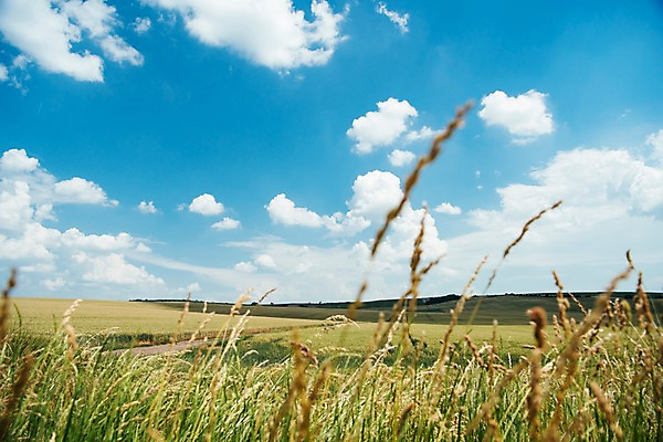 포토 JPG 주간 구름 해외풍경 유럽 여행 자연 하늘 풍경 초원 사람없음 야외 감성 체코 프라하 동유럽 모라비아 국내포토 자연요소 해외 나라 컨셉 생태계 파일형식