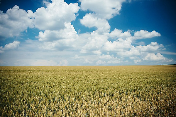 포토 JPG 주간 구름 해외풍경 유럽 여행 자연 하늘 풍경 초원 사람없음 야외 감성 체코 프라하 동유럽 모라비아 국내포토 자연요소 해외 나라 컨셉 생태계 파일형식