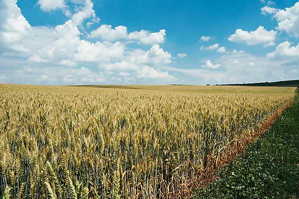 포토 JPG 주간 구름 해외풍경 유럽 여행 자연 하늘 풍경 초원 사람없음 야외 감성 체코 프라하 동유럽 모라비아 국내포토 자연요소 해외 나라 컨셉 생태계 파일형식