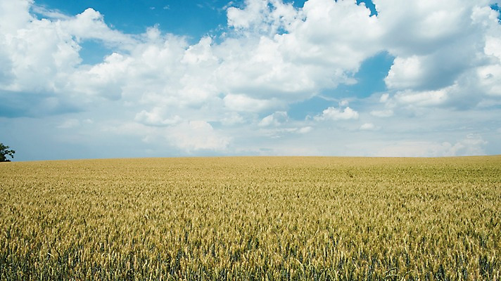 포토 JPG 주간 구름 해외풍경 유럽 여행 자연 하늘 풍경 초원 사람없음 야외 감성 체코 프라하 동유럽 모라비아 국내포토 자연요소 해외 나라 컨셉 생태계 파일형식