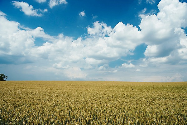 포토 JPG 주간 구름 해외풍경 유럽 여행 자연 하늘 풍경 초원 사람없음 야외 감성 체코 프라하 동유럽 모라비아 국내포토 자연요소 해외 나라 컨셉 생태계 파일형식