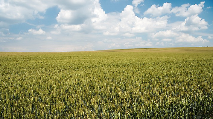포토 JPG 주간 구름 해외풍경 유럽 여행 자연 하늘 풍경 초원 사람없음 야외 감성 체코 프라하 동유럽 모라비아 국내포토 자연요소 해외 나라 컨셉 생태계 파일형식