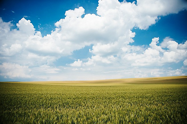 포토 JPG 주간 구름 해외풍경 유럽 여행 자연 하늘 풍경 초원 사람없음 야외 감성 체코 프라하 동유럽 모라비아 국내포토 자연요소 해외 나라 컨셉 생태계 파일형식