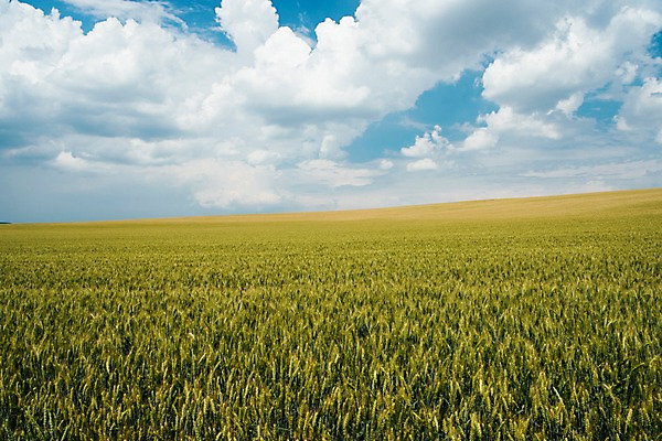 포토 JPG 주간 구름 해외풍경 유럽 여행 자연 하늘 풍경 초원 사람없음 야외 감성 체코 프라하 동유럽 모라비아 국내포토 자연요소 해외 나라 컨셉 생태계 파일형식