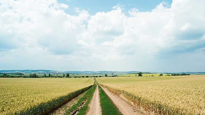 포토 JPG 주간 구름 해외풍경 유럽 여행 자연 하늘 풍경 초원 사람없음 야외 감성 체코 프라하 동유럽 모라비아 국내포토 자연요소 해외 나라 컨셉 생태계 파일형식
