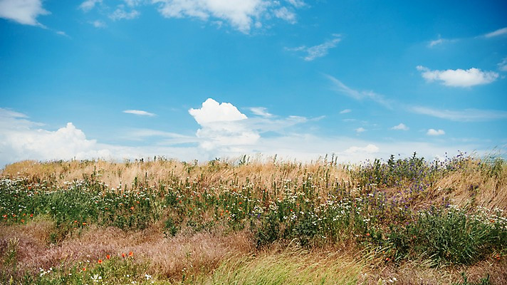포토 JPG 주간 구름 해외풍경 유럽 여행 자연 하늘 풍경 초원 사람없음 야외 감성 체코 프라하 동유럽 모라비아 국내포토 자연요소 해외 나라 컨셉 생태계 파일형식