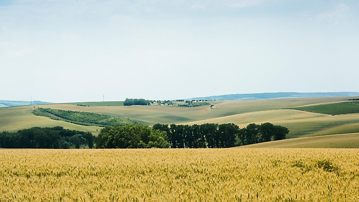 포토 JPG 주간 나무 구름 해외풍경 유럽 여행 자연 하늘 풍경 초원 사람없음 야외 감성 체코 프라하 동유럽 모라비아 국내포토 자연요소 식물 해외 나라 컨셉 생태계 파일형식